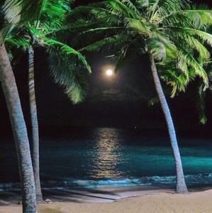 Meet your Posher, Dora